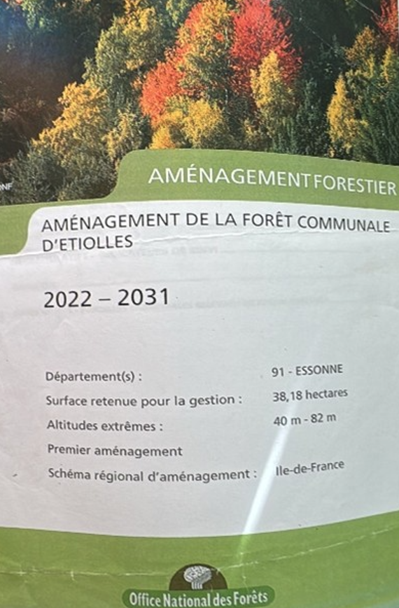 foret communale etiolles